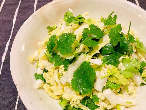 パクチー大好き⭐️パクチーと白菜のエスニックサラダ